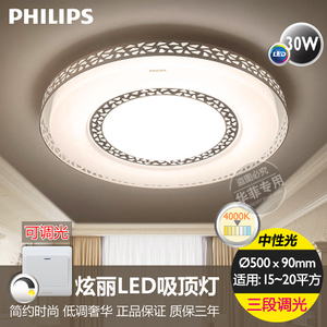 Philips/飞利浦 LED30W500mm