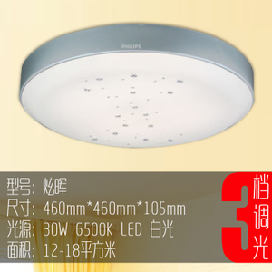 Philips/飞利浦 LED30W460mm