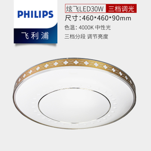 Philips/飞利浦 LED30W460mm