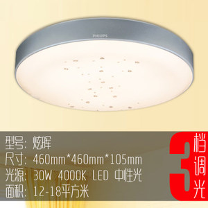 Philips/飞利浦 LED30W460mm