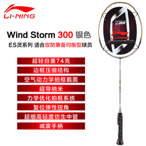 WIND-STORM-700-300