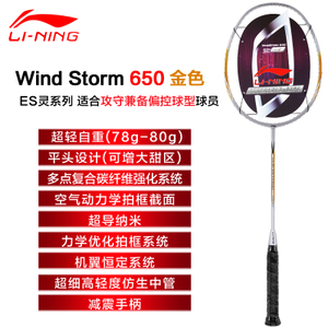 Lining/李宁 Wind-Storm-700-650