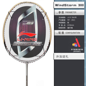 Lining/李宁 windstorm300