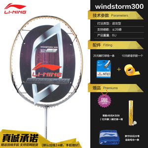 Lining/李宁 windstorm300