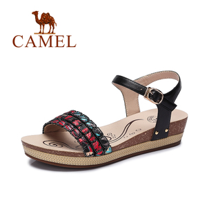Camel/骆驼 A62863605