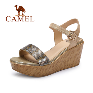 Camel/骆驼 A62153633