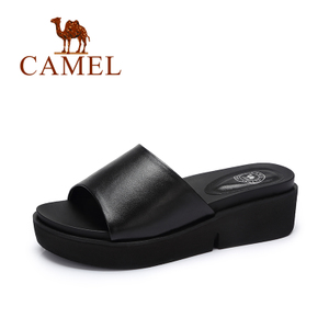 Camel/骆驼 A62255600