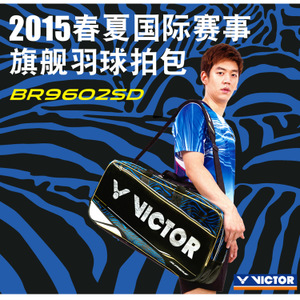 VICTOR/威克多 BR9602SD