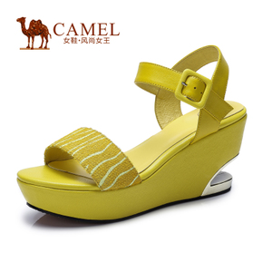 Camel/骆驼 A52062610