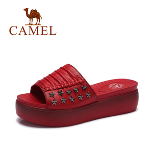 Camel/骆驼 A52007604