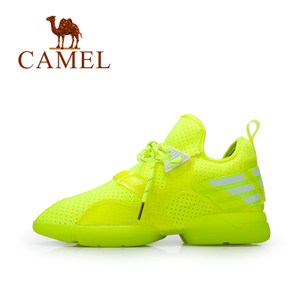 Camel/骆驼 A61214600