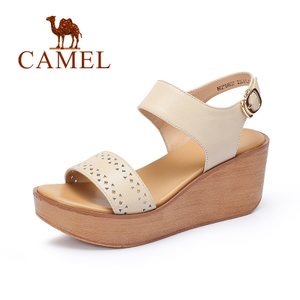 Camel/骆驼 A62504637