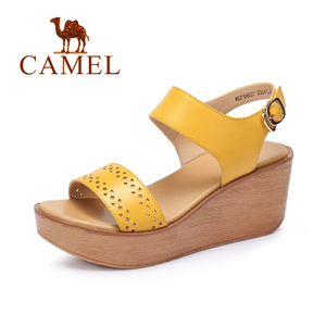 Camel/骆驼 A62504637