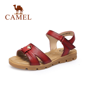 Camel/骆驼 A62504628