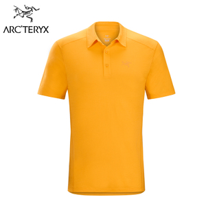 PELION-POLO-MENS-WULFENITE