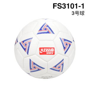 FS3101-1