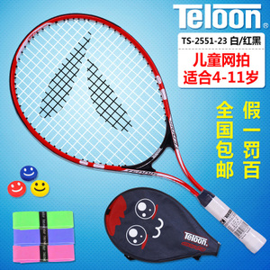 Teloon/天龙 2551-23