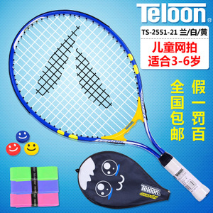 Teloon/天龙 2551-21