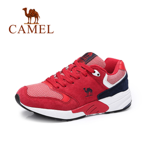 Camel/骆驼 A63359608