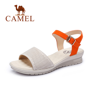 Camel/骆驼 A62863604
