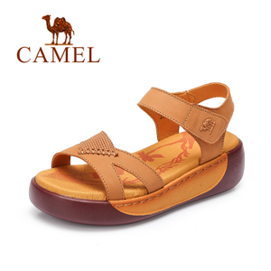 Camel/骆驼 A62354607