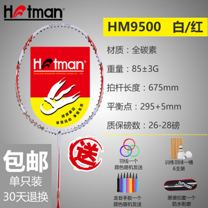 HOTMAN/豪迈 hm9500