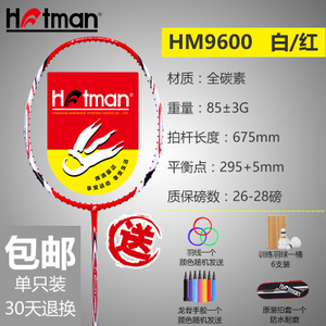 HOTMAN/豪迈 hm9600