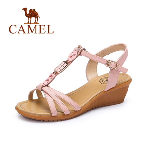 Camel/骆驼 A62504633