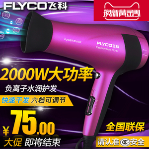 Flyco/飞科 FH6618