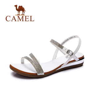 Camel/骆驼 A62862620
