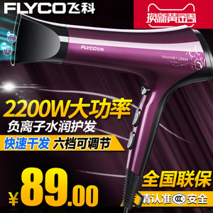 Flyco/飞科 FH6273