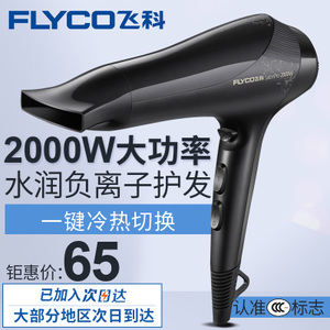 Flyco/飞科 FH6266