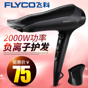 Flyco/飞科 FH6266