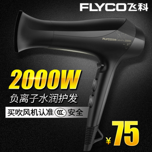 Flyco/飞科 FH6266