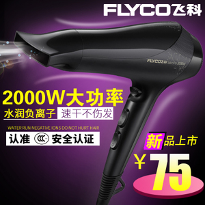 Flyco/飞科 FH6266