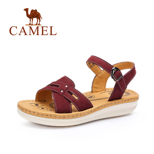 Camel/骆驼 A62302601