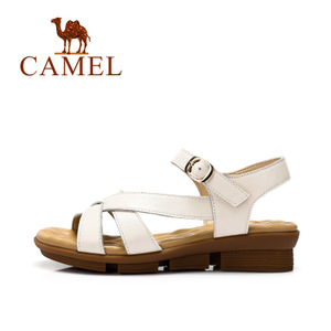 Camel/骆驼 A62504621