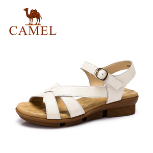 Camel/骆驼 A62504621
