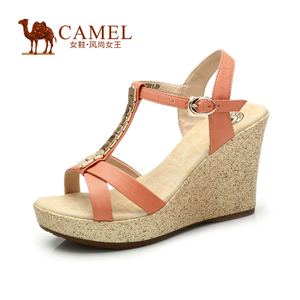 Camel/骆驼 A93158600