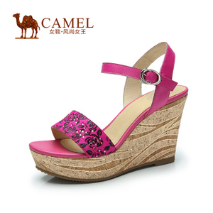 Camel/骆驼 A93078600