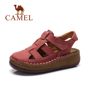 Camel/骆驼 A52354601