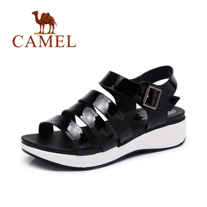 Camel/骆驼 A62007650