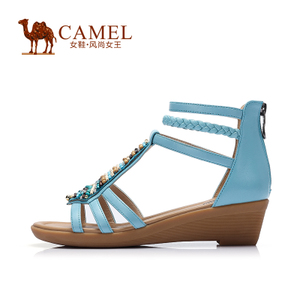 Camel/骆驼 A62504620