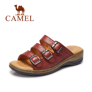 Camel/骆驼 A62326608