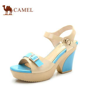 Camel/骆驼 A93553627