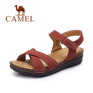 Camel/骆驼 A62326607
