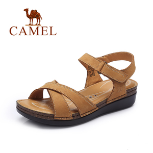 Camel/骆驼 A62326607