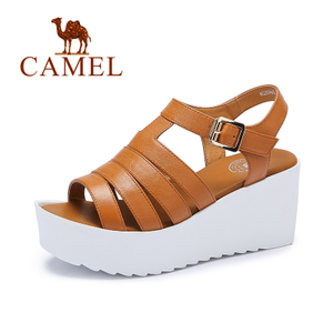 Camel/骆驼 A62504640