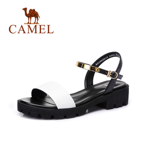 Camel/骆驼 A62862619