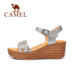 Camel/骆驼 A62153627